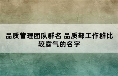 品质管理团队群名 品质部工作群比较霸气的名字